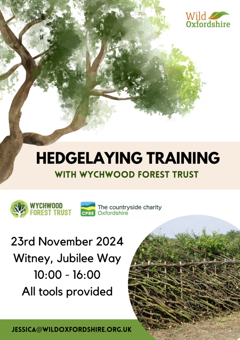 Hedge laying course